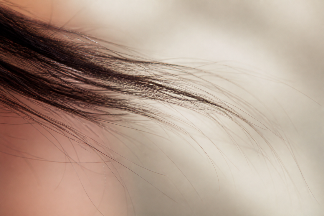 Fine hair strands fanning out and thinning to wisps against soft skin tones